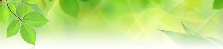 有限会社　橋本薬局